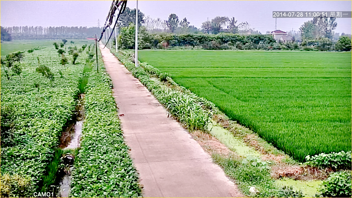 深圳龍視數碼無線微波監(jiān)控設備應用江蘇鹽城南環(huán)路城郊視頻監(jiān)控3